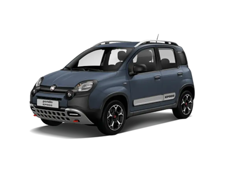 Foto FIAT PANDA 3ª SERIE Panda 1.2 Easy (dal 2011/12 al 2015/12)