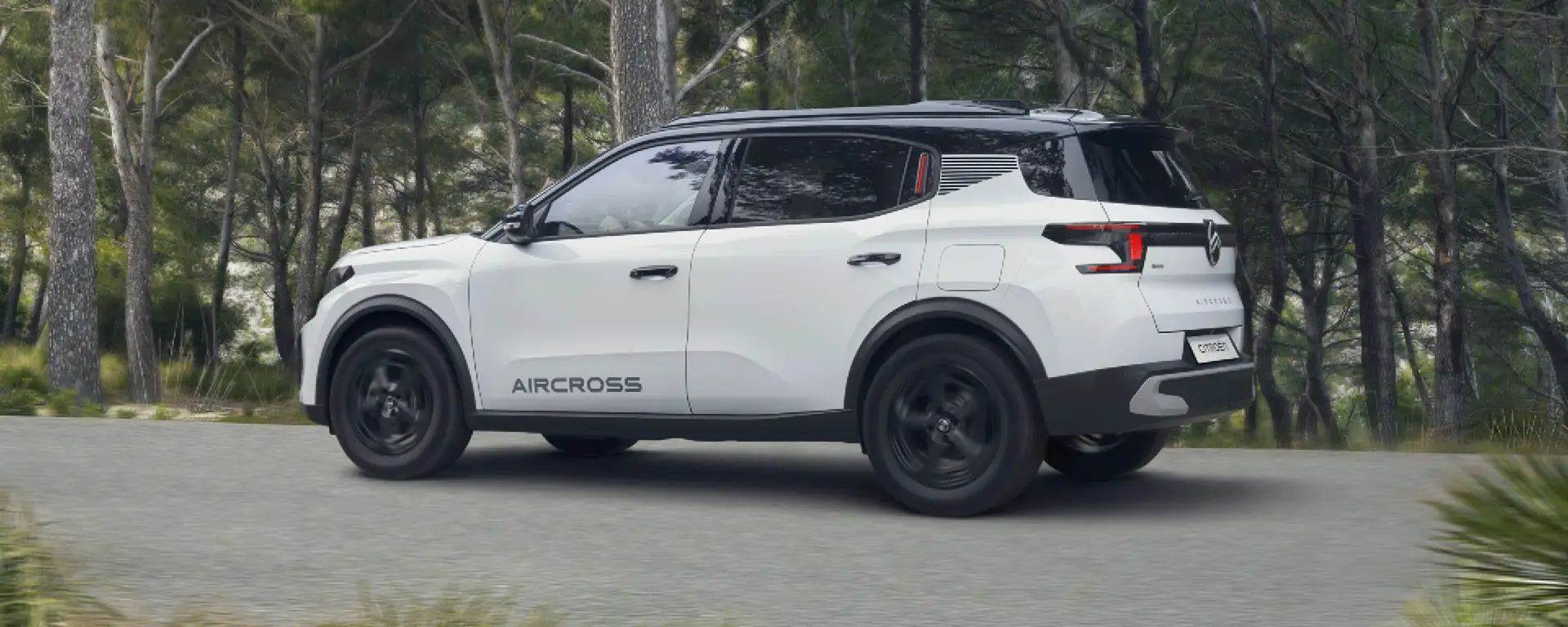 Gamma Nuova Citroën | Auto Zatti