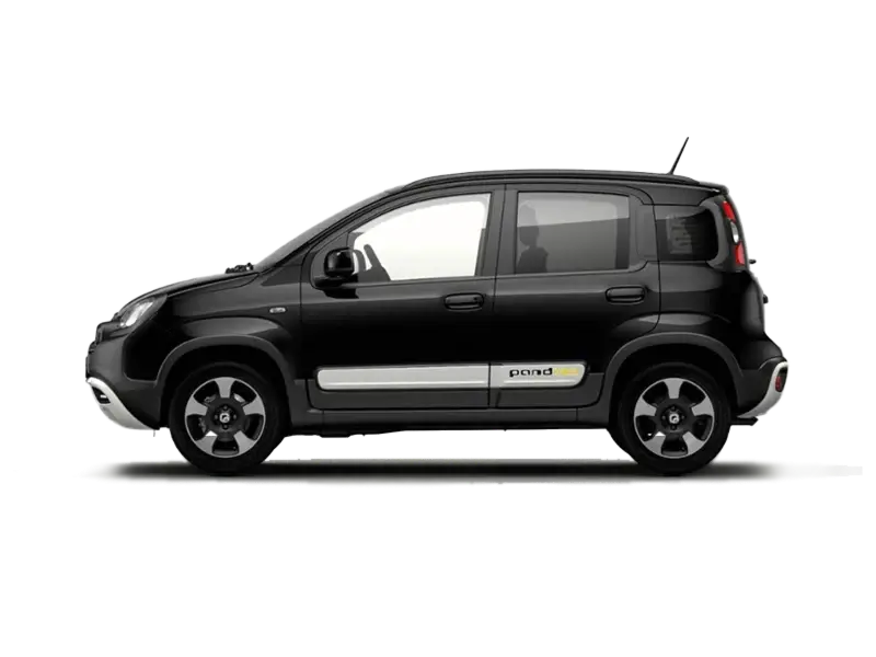 FIAT Pandina