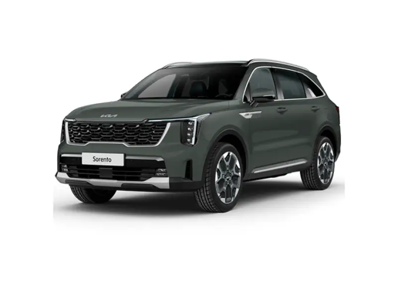 Foto veicolo KIA Sorento N1