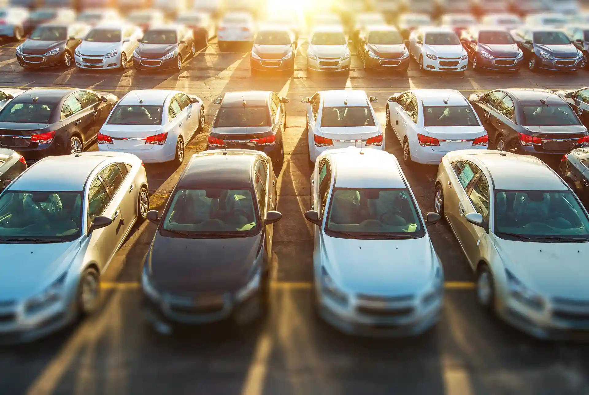 Gruppo di auto in un parcheggio